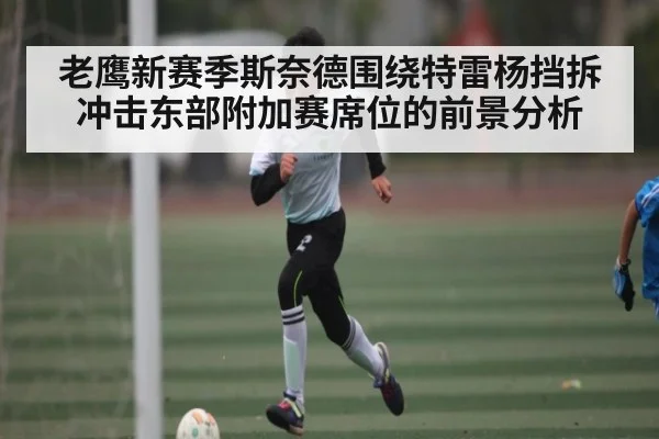 老鹰新赛季斯奈德围绕特雷杨挡拆冲击东部附加赛席位的前景分析